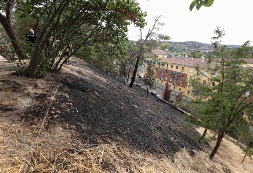 La zona afectada ocupa 700 metros cuadrados en bajada hasta el Parque Escolar de Tráfico