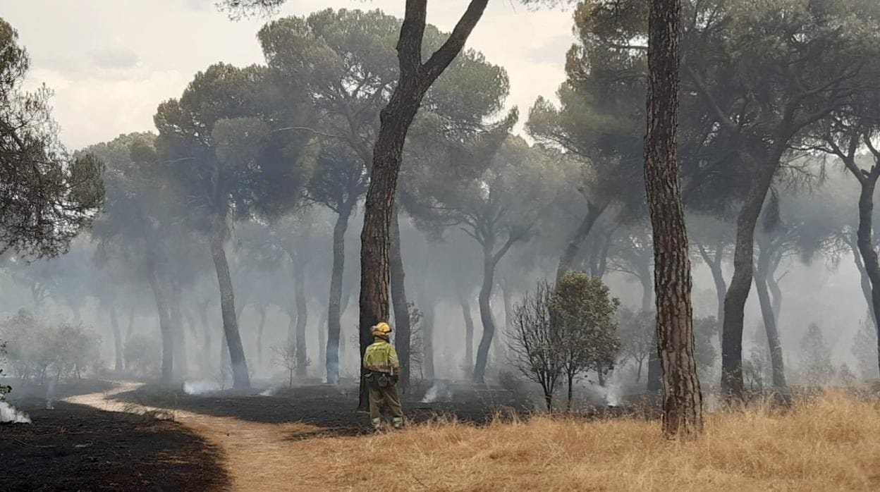 Trabajos de extinción en el incendio en El Tiemblo (Ávila)