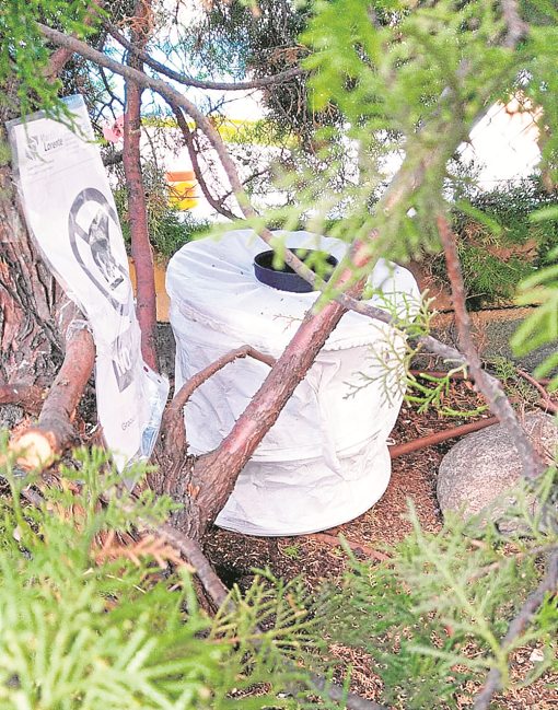 Trampa ‘Sentinel’ para capturar a la mosca viva