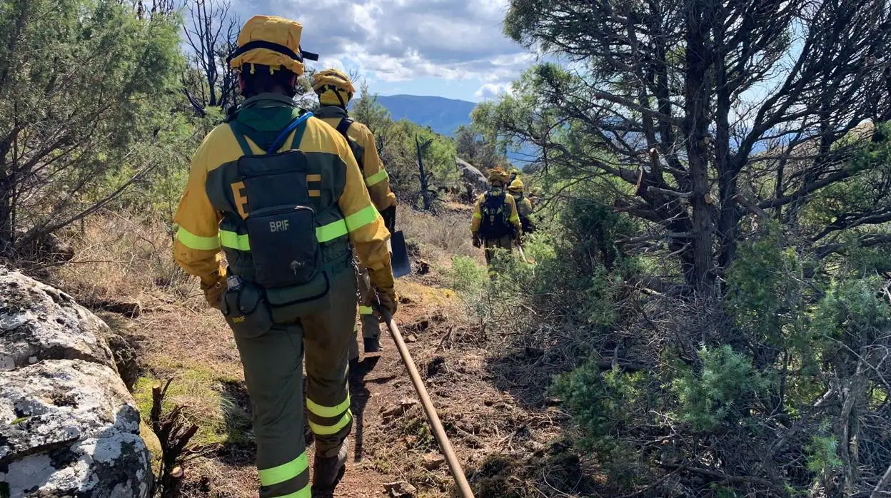 Bomberos forestales en labores de refresco y control del incendio en El Tiemblo, ayer por la tarde