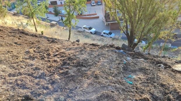 Los bomberos de Toledo sofocan un nuevo incendio en el Parque de la Vega