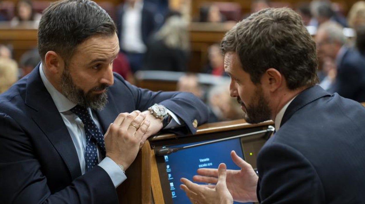 Santiago Abascal y Pablo Casado, en el Congreso de los Diputados