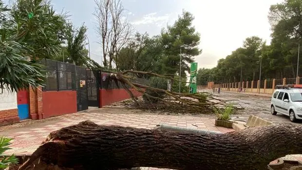 Numerosos destrozos en Alcázar de San Juan y Pedro Muñoz tras la tormenta