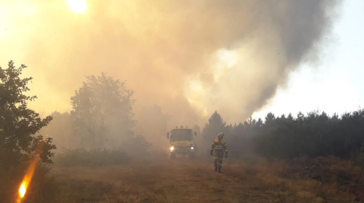 Imágenes del incendio