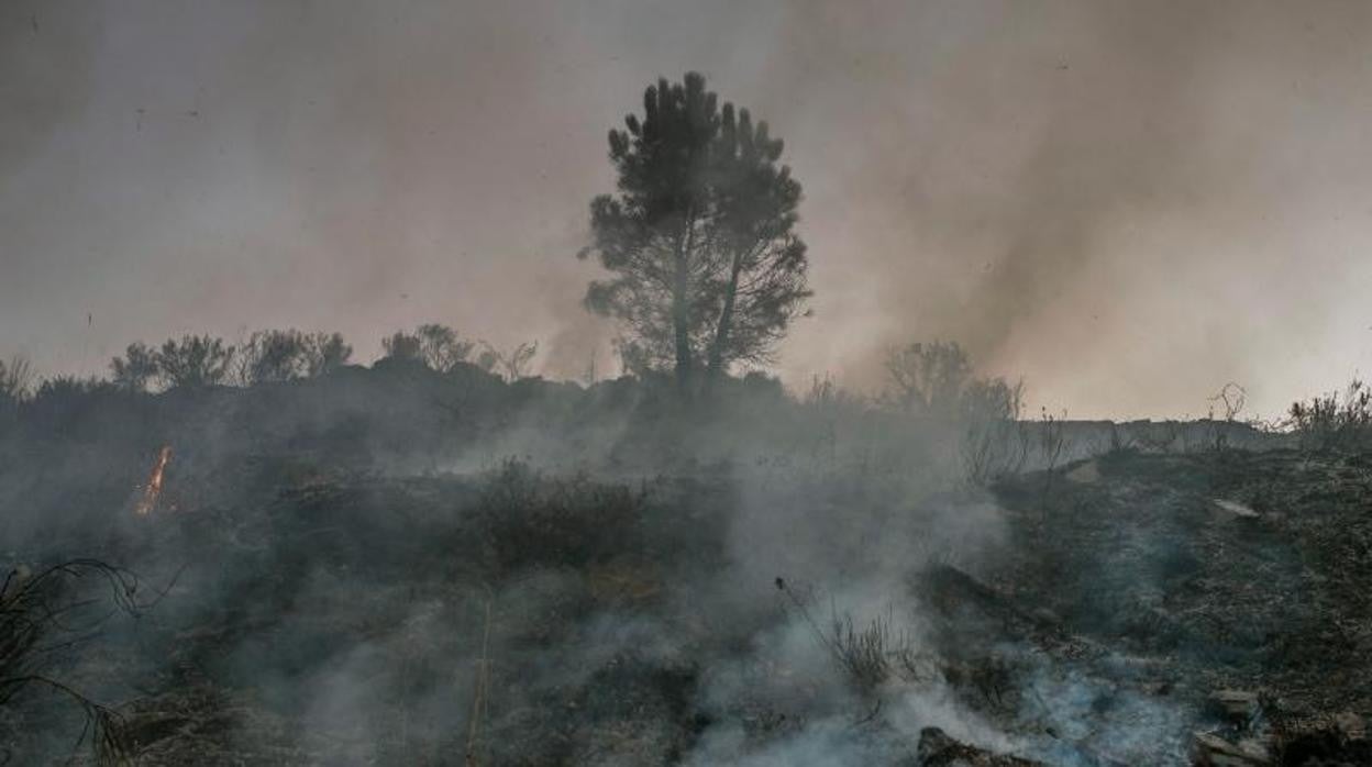 Escenario en Rubiá (Orense) en el que la UIFO esclareció el origen del incendio