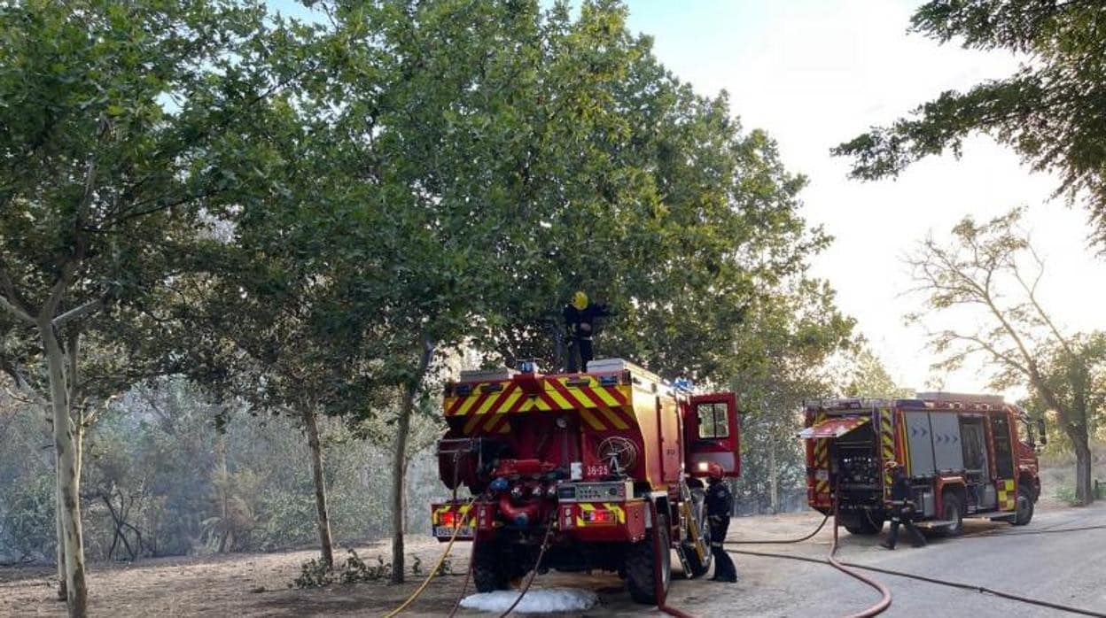 Los bomberos de la Comunidad, durante las tareas de extinción del fuego de Batres