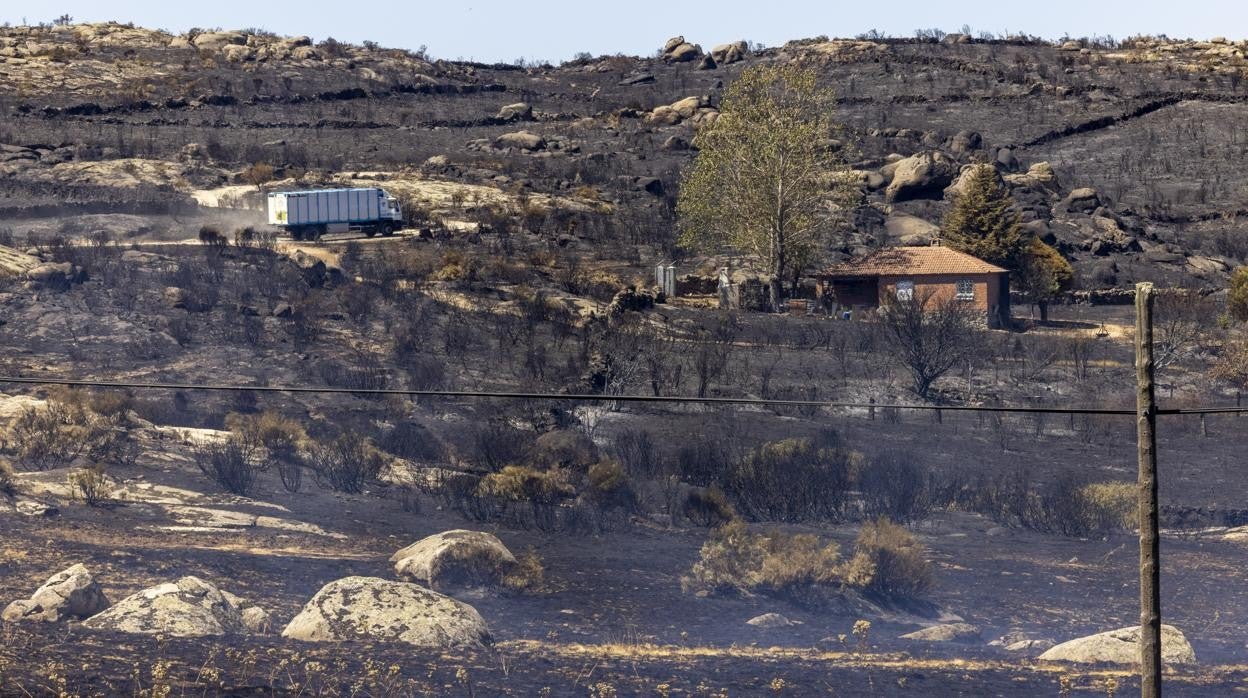 Imágenes del los restos del incendio que ha asloado la sierra de la Paramera en Ávila