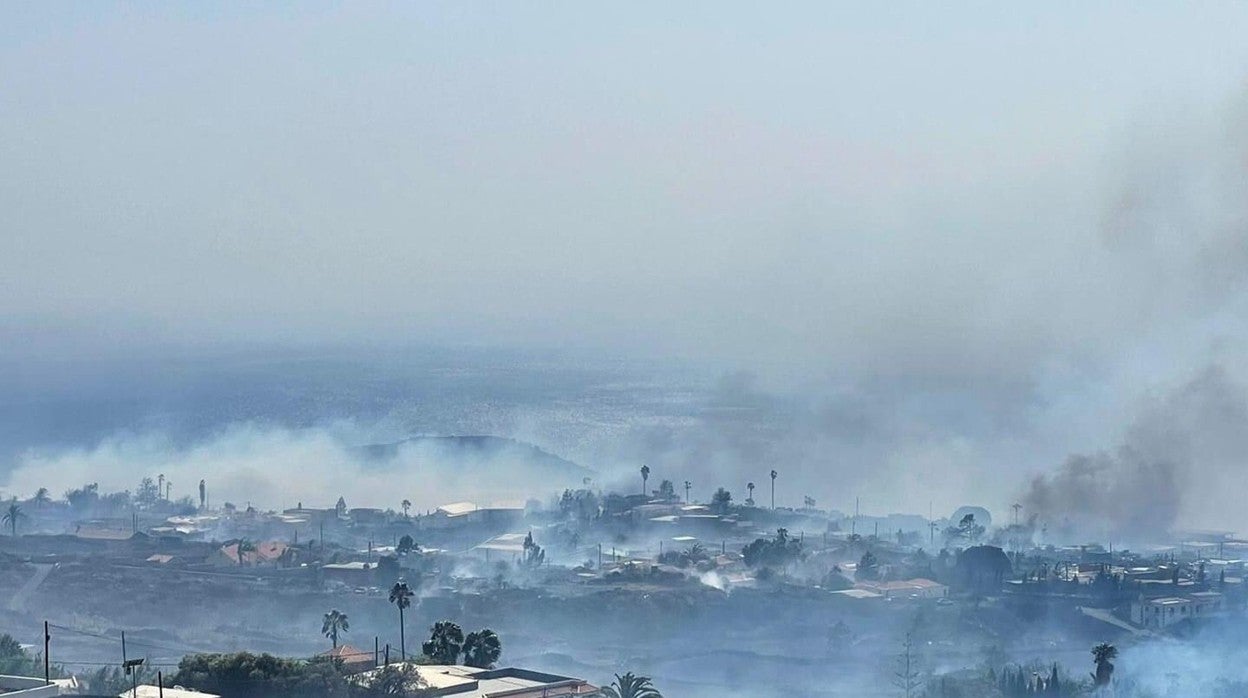 Zona afectada por el incendio en La Palma