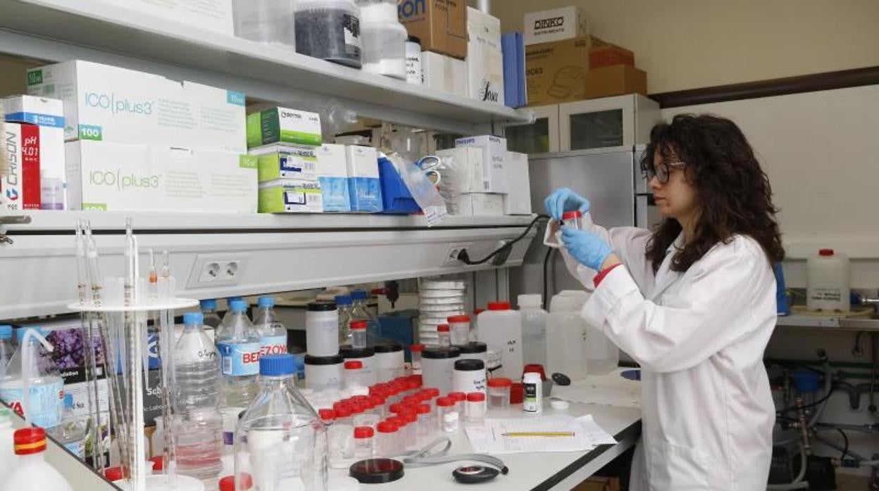 Imagen de una investigadora en un laboratorio