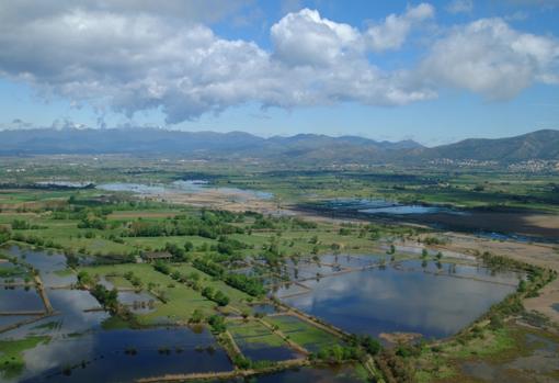 Vista general de los humedales del Empordà