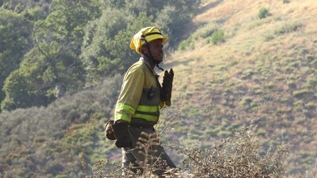 Nivel 1 en un incendio declarado en la provincia de Soria que ha podido afectar a más de 30 hectáreas