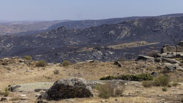 Por Ávila propondrá en las Cortes la creación de una comisión de investigación sobre el incendio de Navalacruz