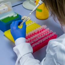 Las muestras son guardadas en un banco de almacenamiento de la UVA