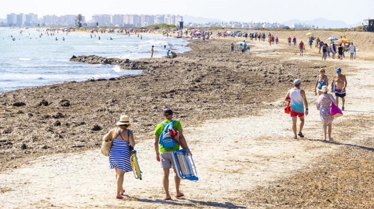 Mar Menor: El arte de pesca más antiguo de la Región de Murcia - La Opinión  de Murcia