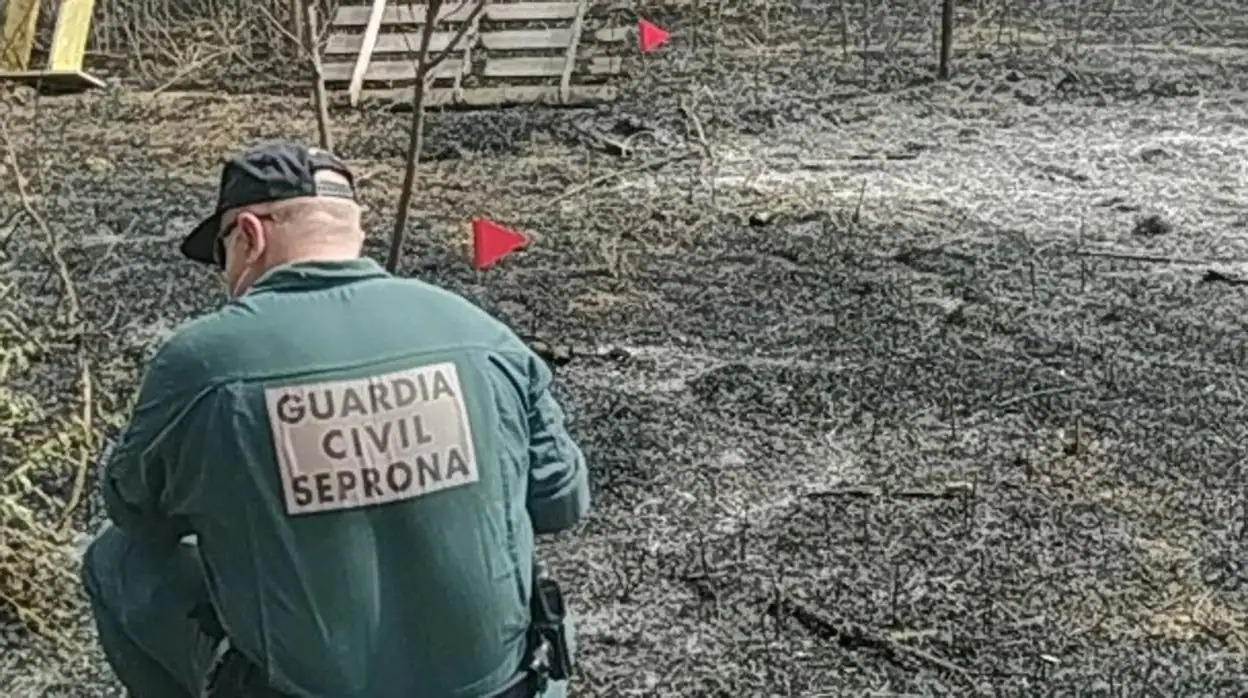 La Guardia Civil de Cuenca esclarece un incendio forestal en Pozorrubio de Santiago