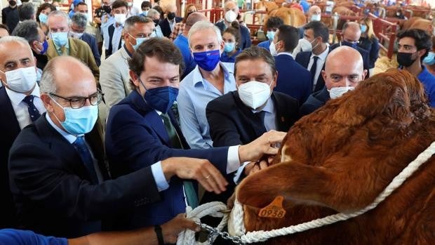 Salamaq abre sus puertas como «la primera gran feria agrícola y ganadera» que vuelve tras la pandemia