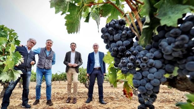 Conrado Íscar distingue a Tresmano como «ejemplo del potencial» de Ribera del Duero