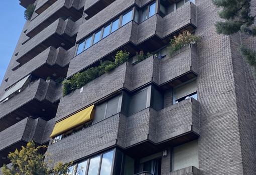 La terraza con plantas del Pollo Carvajal