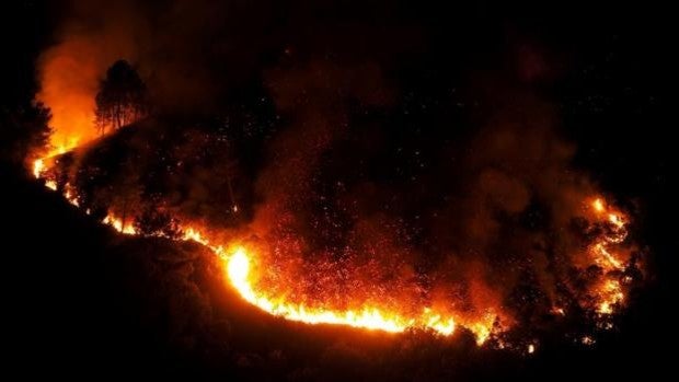 Incendios más allá del verano: las secuelas del cambio climático