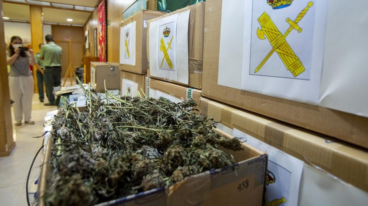 Imagen de archivo de Marihuana requisada por la Guardia Civil