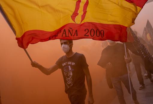 Un manifestante enarbola una bandera de la formación ultra España 2000