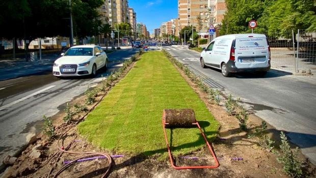 Alicante abre al tráfico Padre Esplá tras un año de obras y casi tres millones de inversión