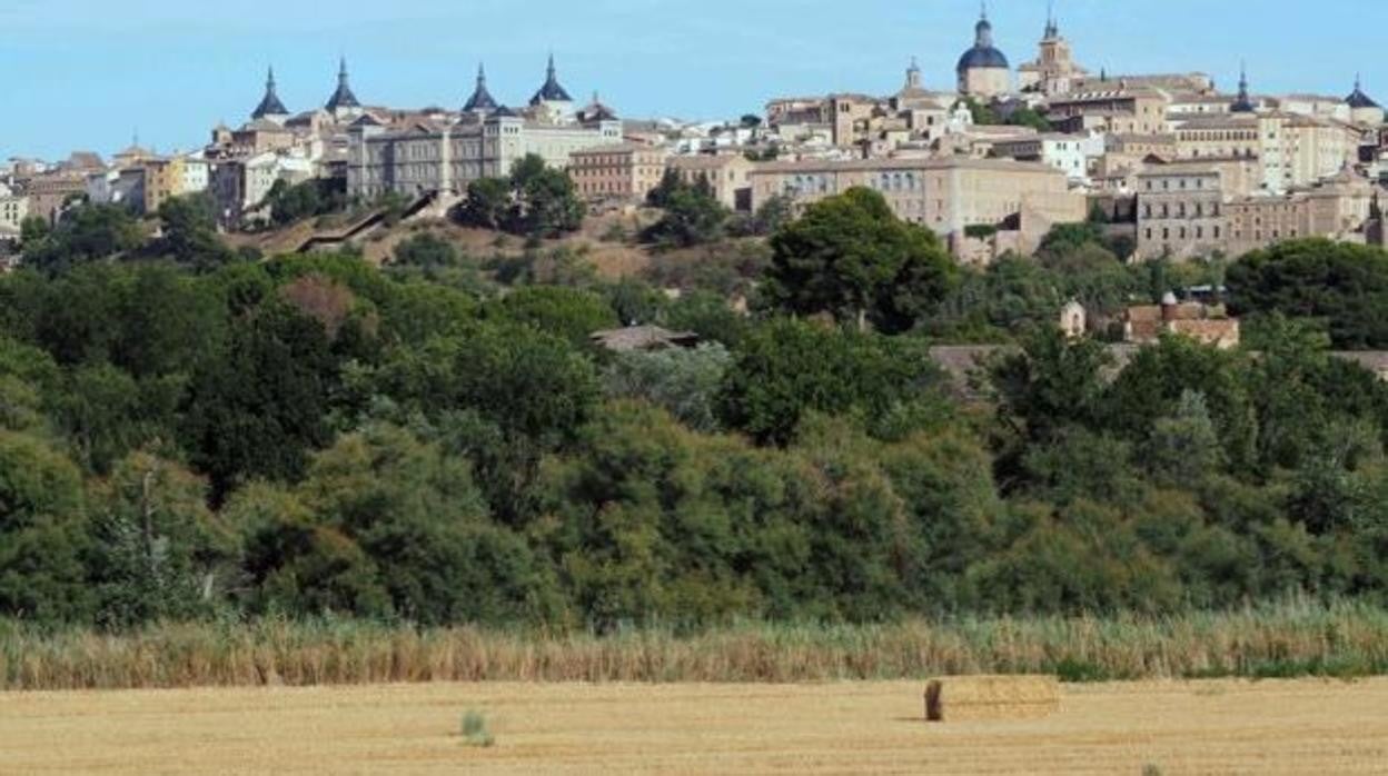 Luz verde, por fin, al convenio entre el Ayuntamiento, la Junta y el Gobierno de España para la Vega Baja