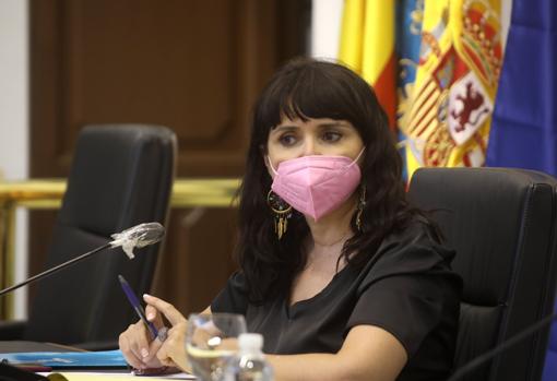 La diputada de Cultura y vicepresidenta primera de la Diputación de Alicante, Julia Parra