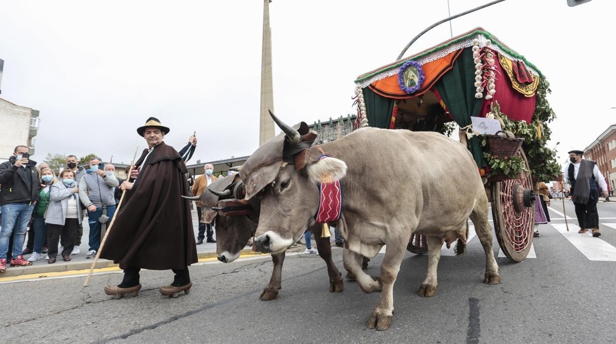 Tradicional romería de San Froilán en La Virgen del Camino (León)