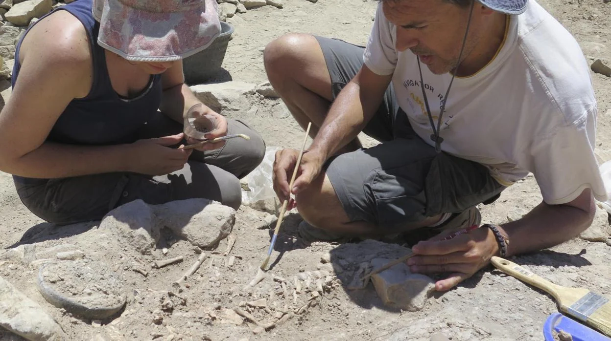 Arqueólogos trabajan en las excavaciones en una tumba de la ladera del castillo de Callosa de Segura