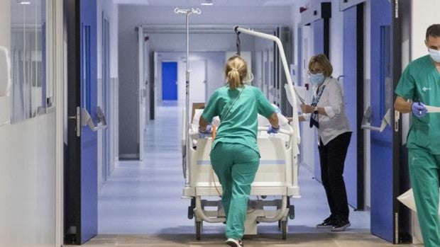 Los hospitales de Salamanca se pasan el testigo con dos nuevas vidas