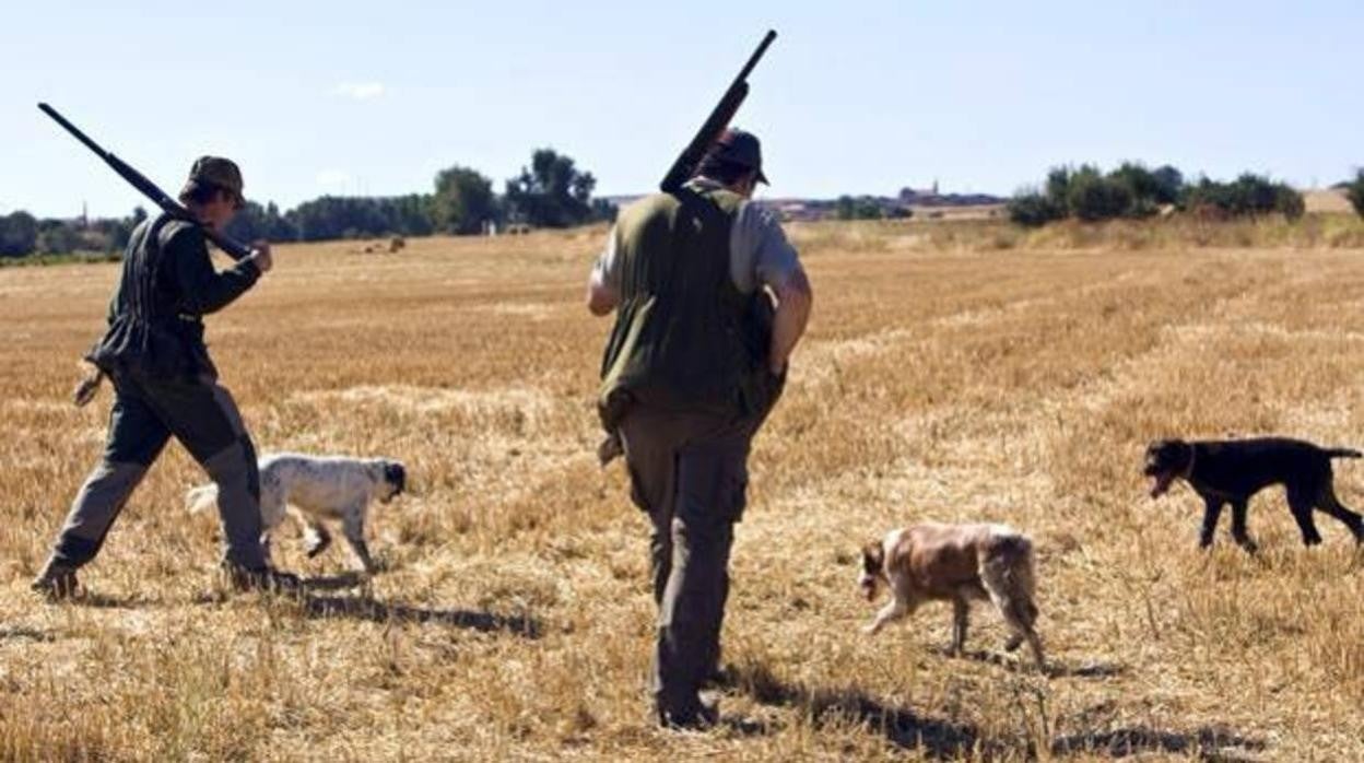 Desde esta semana se ha abierto la veda de caza en Castilla-La Mancha