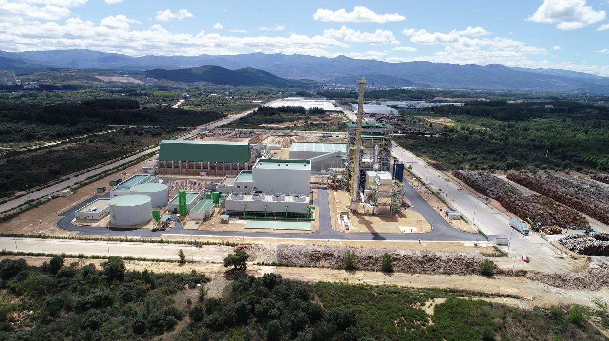 La planta de generación mediante biomasa en Cubillos del Sil (León)