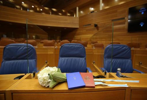 Una hortensia, un Estatuto y una Constitución, en el escaño vacío de Martínez