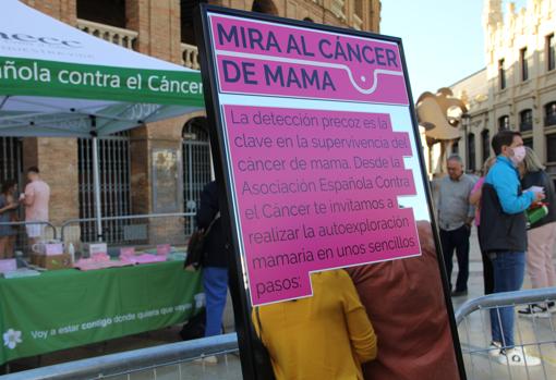 Imagen del cartel instalado por la Asociación Española contra el Cáncer en Valencia