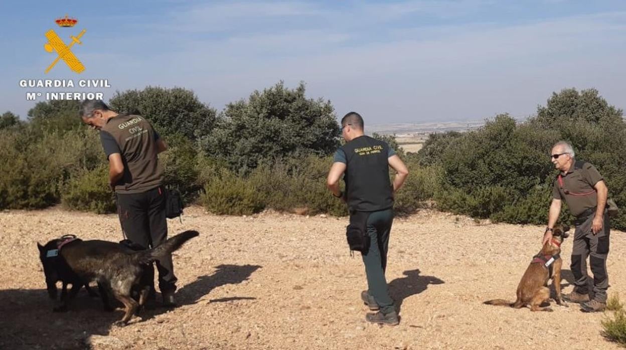 Inspeccionan cotos de caza en Albacete en busca de cebos envenenados