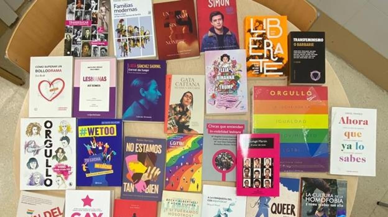 Imagen en la que aparecen algunos de los libros de temática LGTBI repartidos por el Ayuntamiento de Castellón