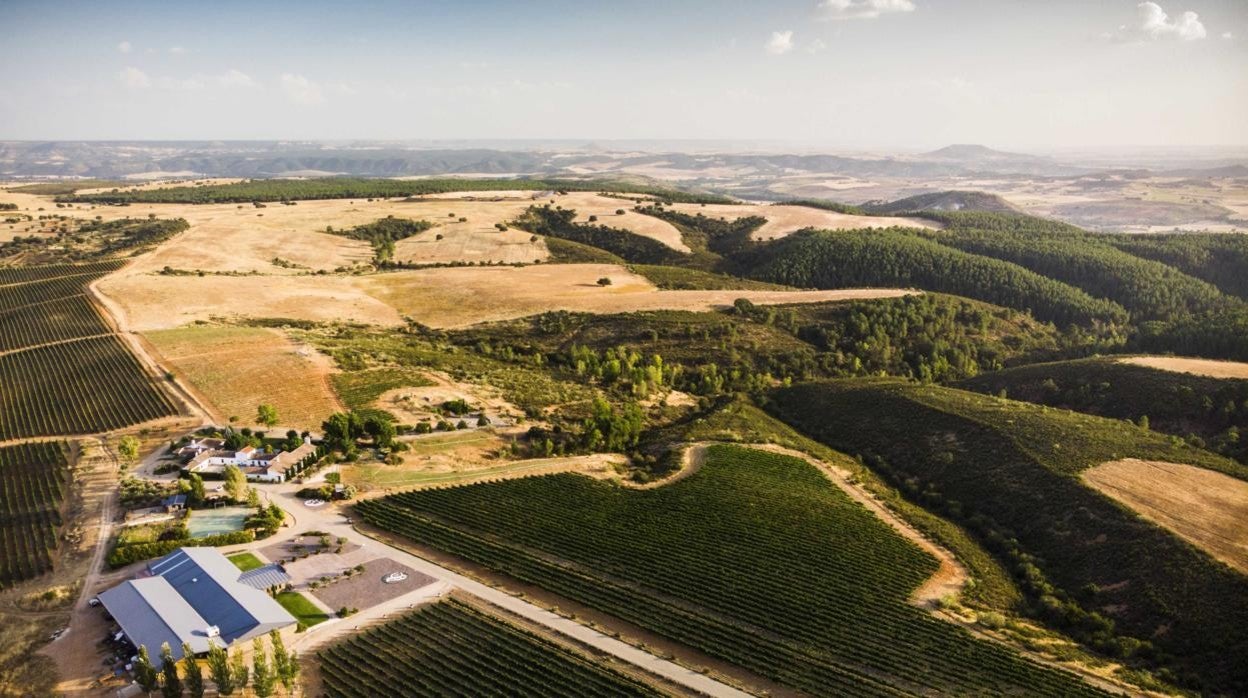 Finca Río Negro presenta Cerro del Lobo, un vino de altura digno de una especie protegida