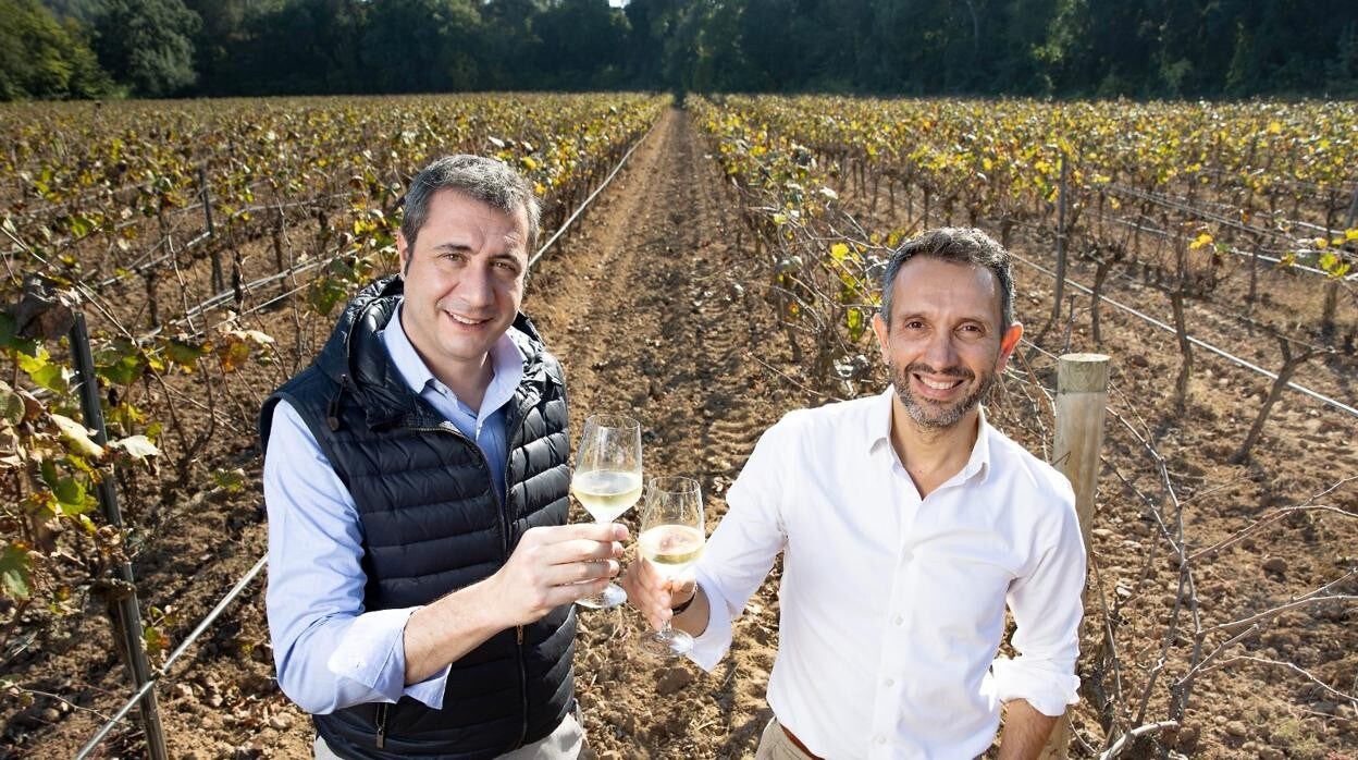 Diego Pinilla y Sergio Fuster frente a una viña ecológica