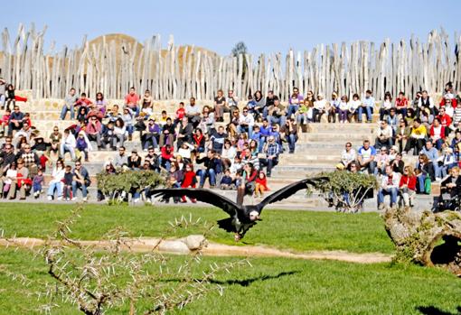 Imagen de la exhibición educativa 'El ciclo de la vida' de Bioparc Valencia