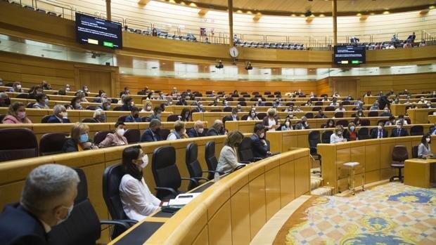 «Ni País Valencià, ni países catalanes»: el PP emprenderá acciones legales contra la decisión del Senado