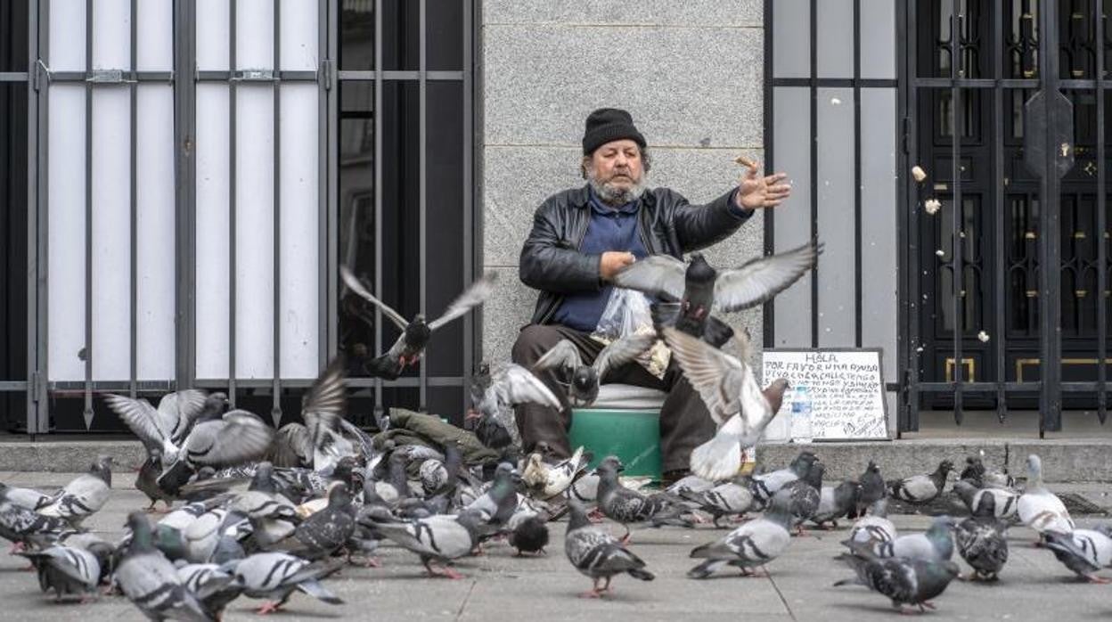 Un hombre alimenta palomas en la calle