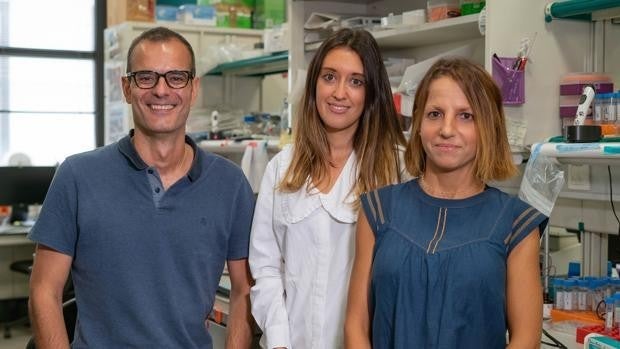 Una dieta rica en aceite de palma acelera el riesgo de metástasis durante meses