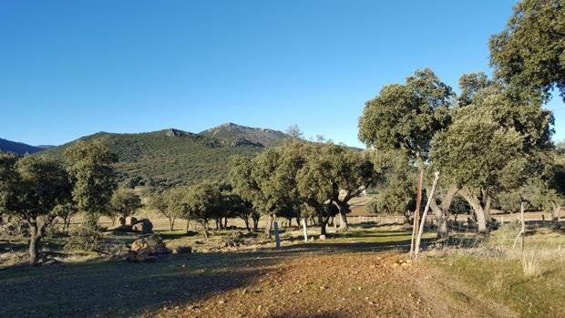 Muere un senderista de 61 años mientras hacía una ruta en Mazarambroz