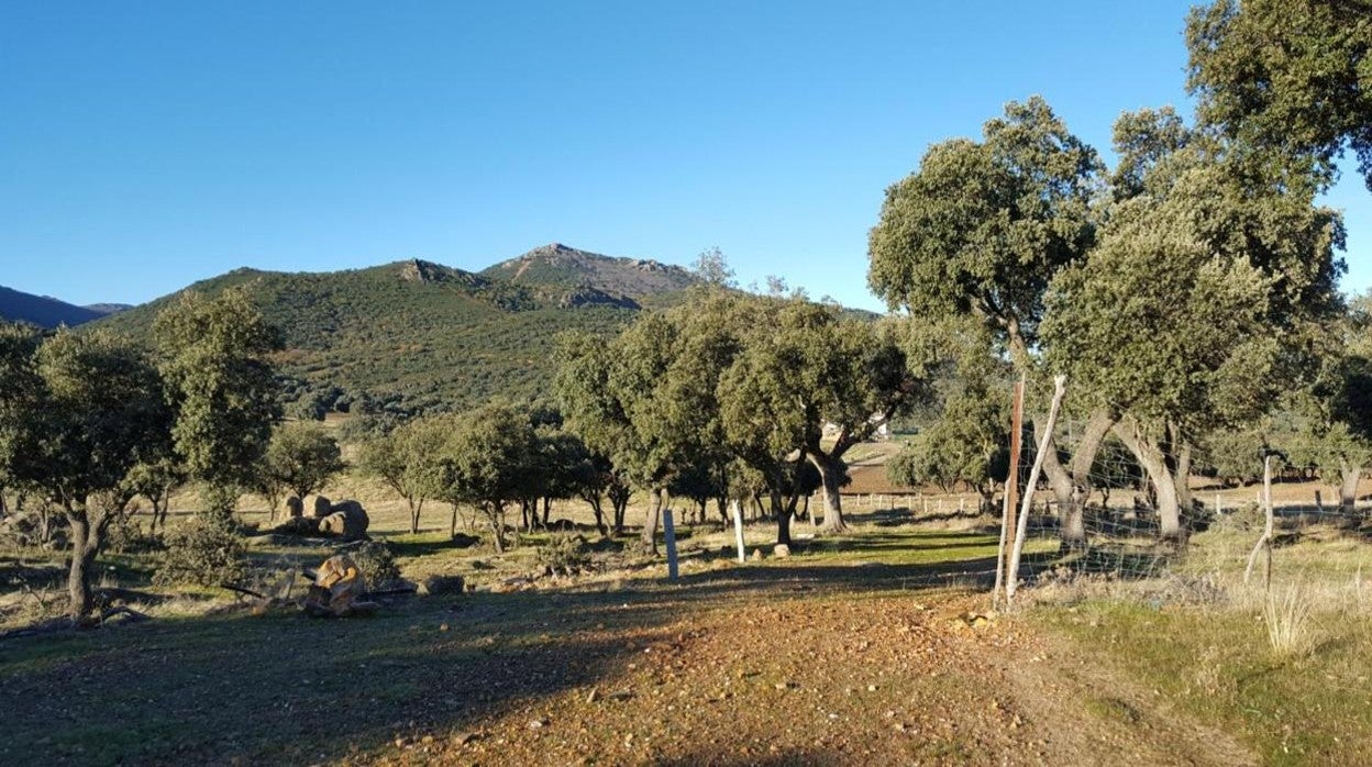 Dehesa El Castañar, en Mazarambroz