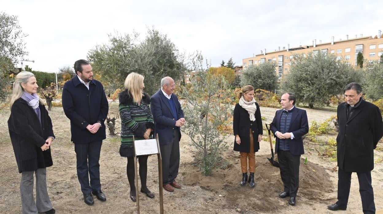 Una placa bendecida por el Papa señala el lugar donde ha sido plantado el olivo obsequio del Papa