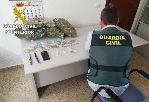 Golpe al tráfico de marihuana en Valencia con diez detenidos y más de 900 plantas intervenidas