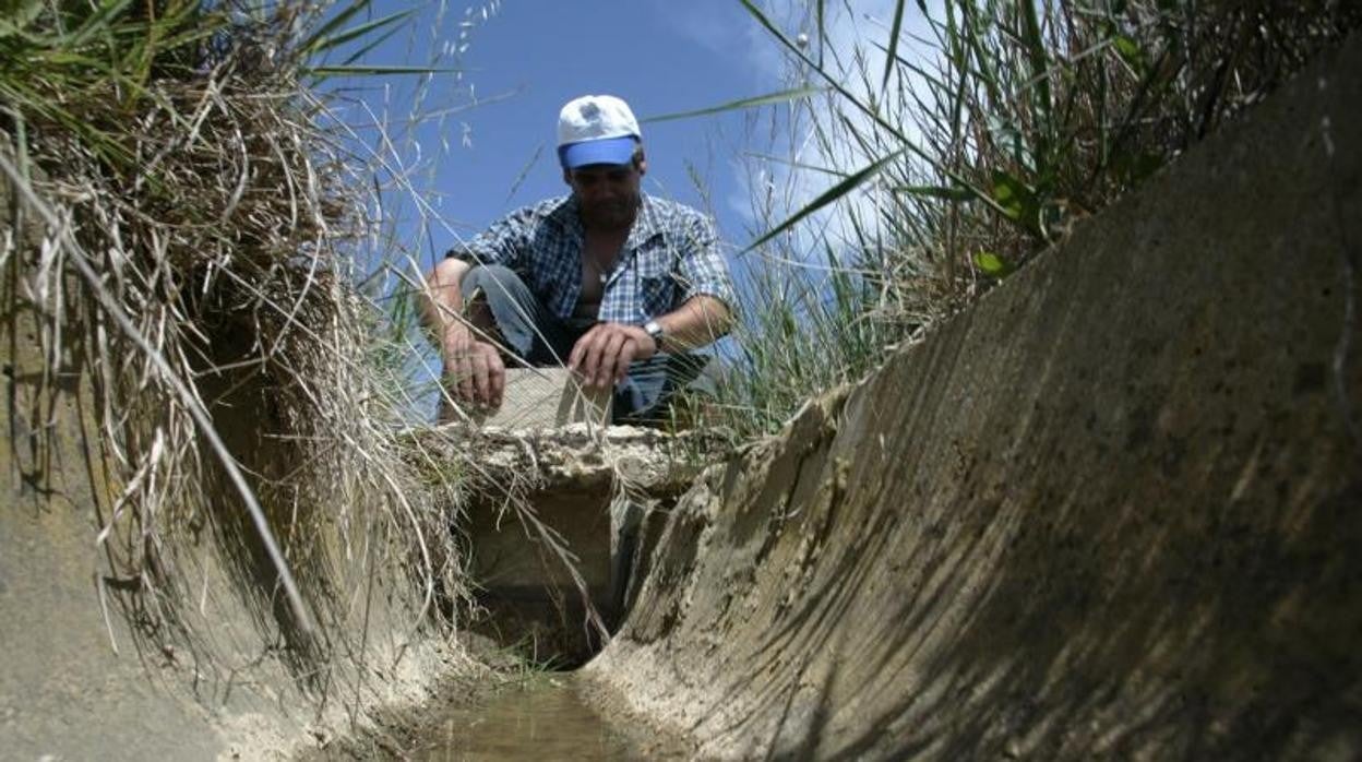 Un agricultor abre una acequia para regar