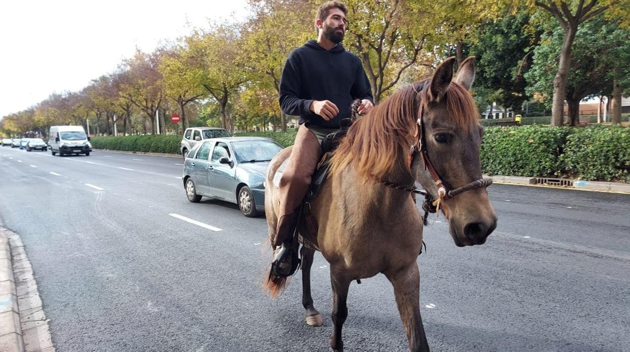 El ganadero que protestó a caballo en el centro de Valencia logra una prórroga para usar los pastos