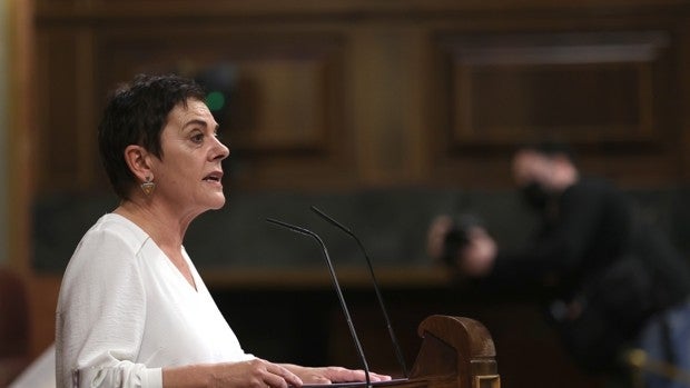 El PSOE y sus aliados tumban la ley para prohibir los 'ongi etorri'